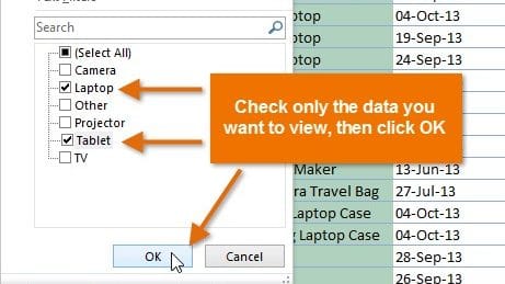 Data Filtering in Microsoft Excel 2013