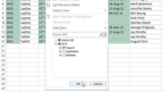 How to apply Multiple Filters in Excel