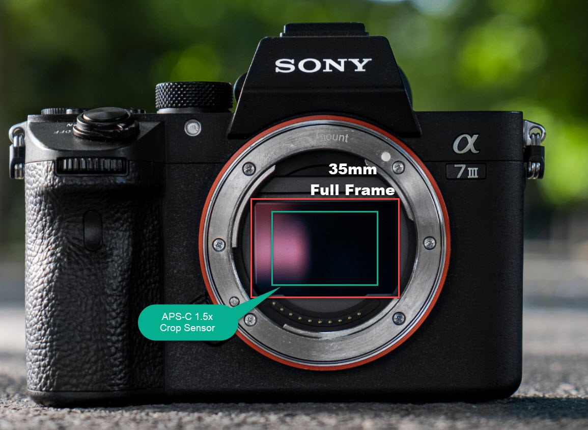 difference between full frame and crop sensor camera